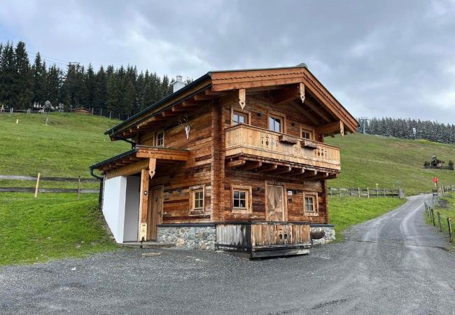 Chalet in Saalbach - Panorama Alm Chalets - Jägersruh Zwei